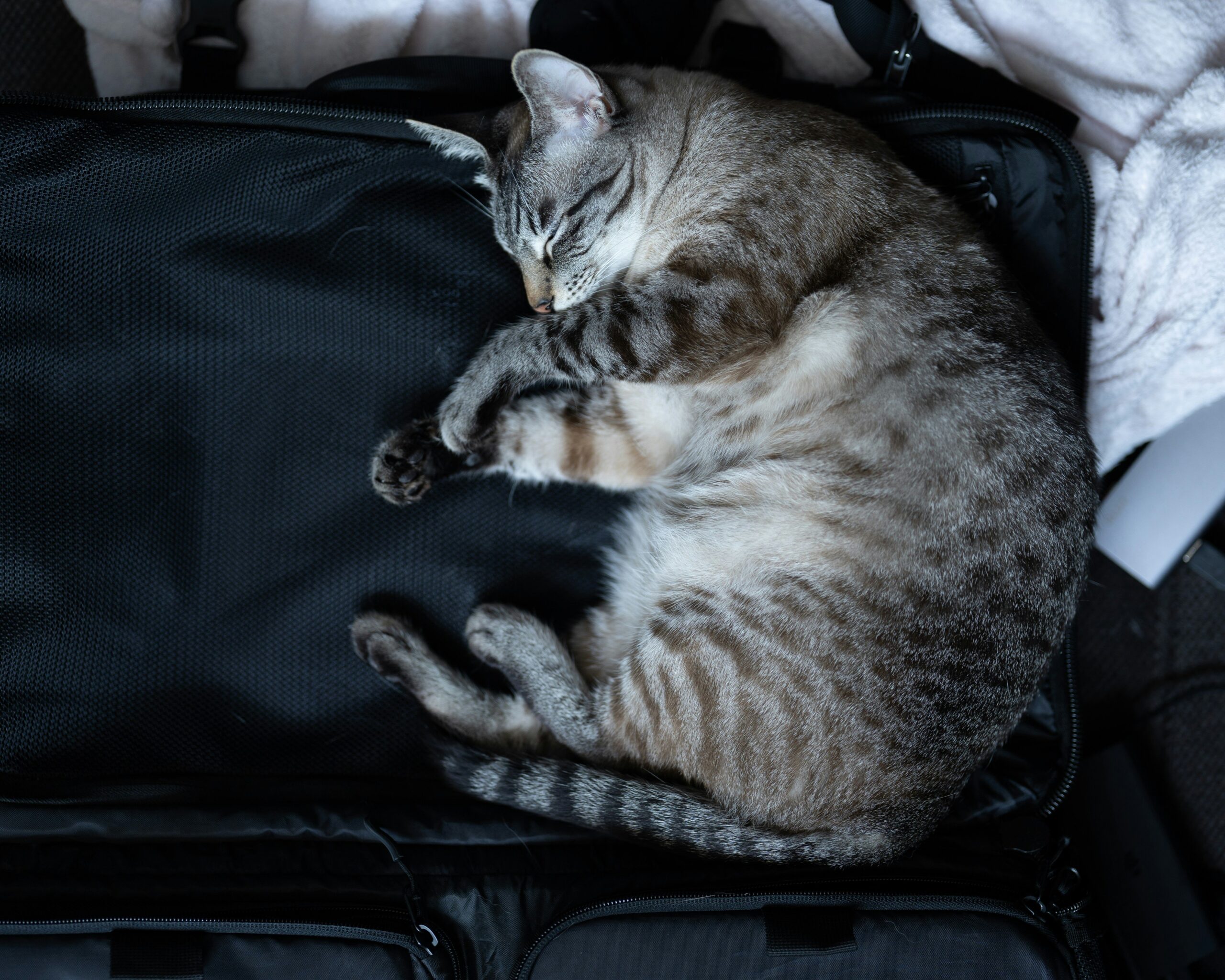 A side-by-side comparison of a regular suitcase versus an expanded flex pack luggage model