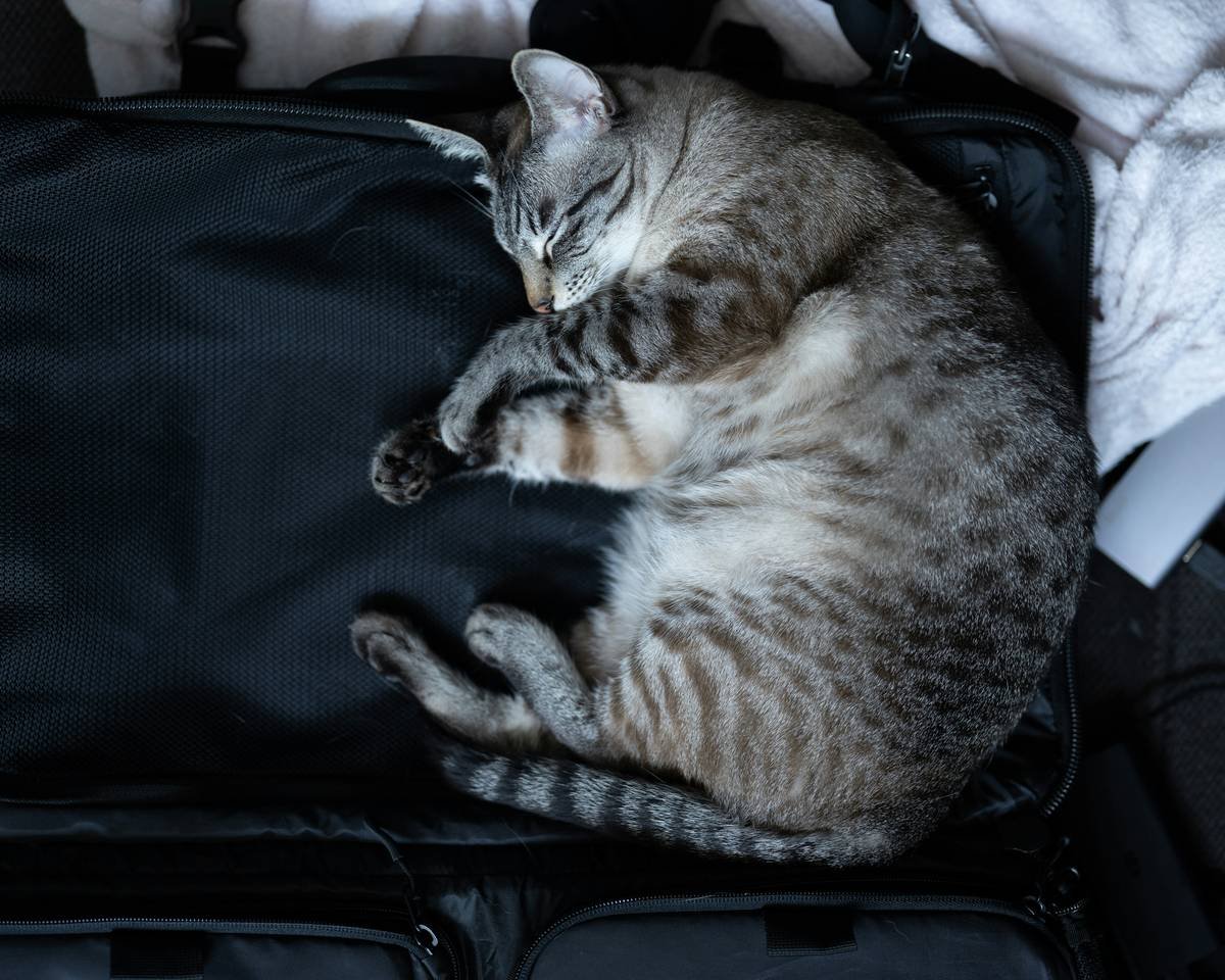 An image showing an overflowing suitcase next to frustrated traveler.