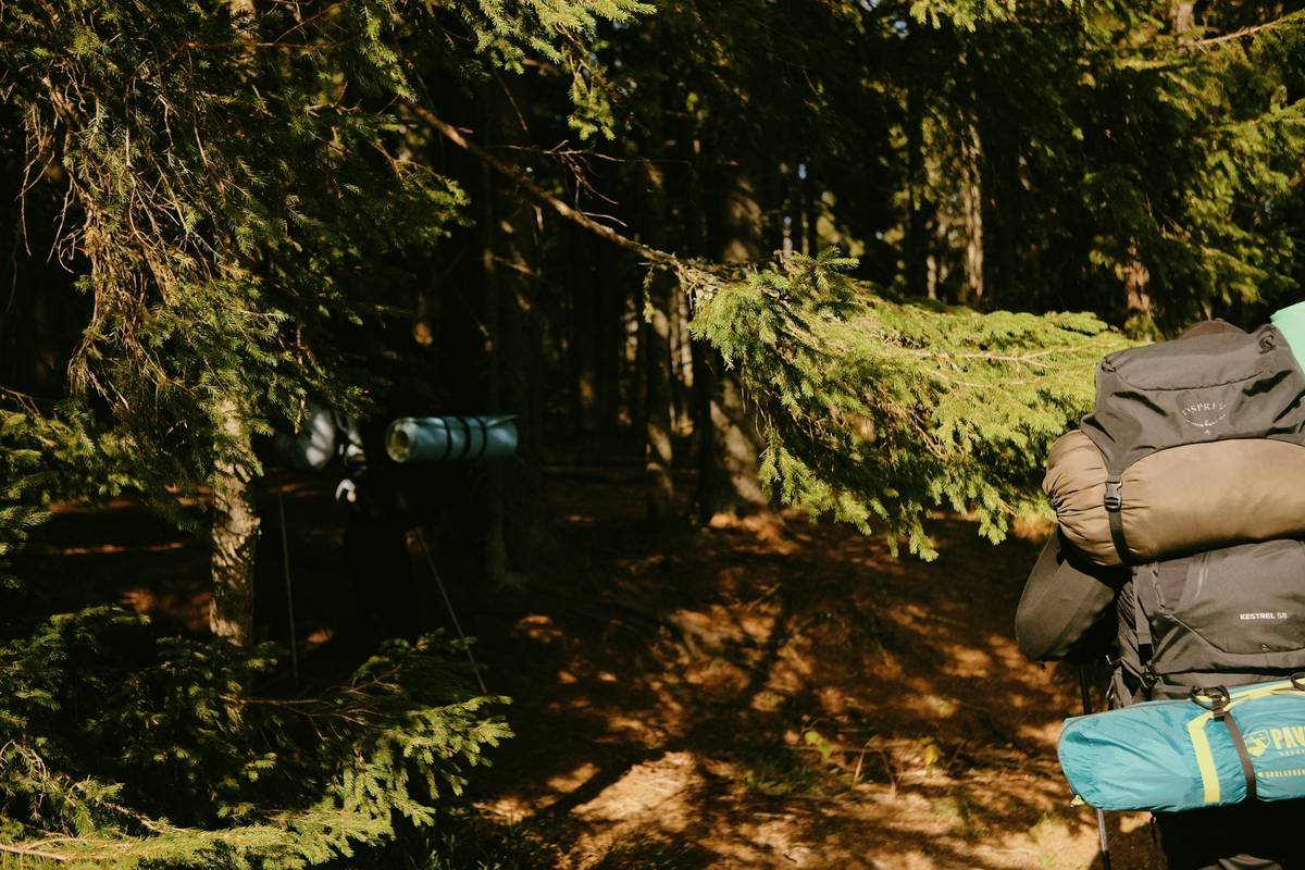 Flex Pack Adventure Bag: The Ultimate Guide to Expandable Luggage for Travelers