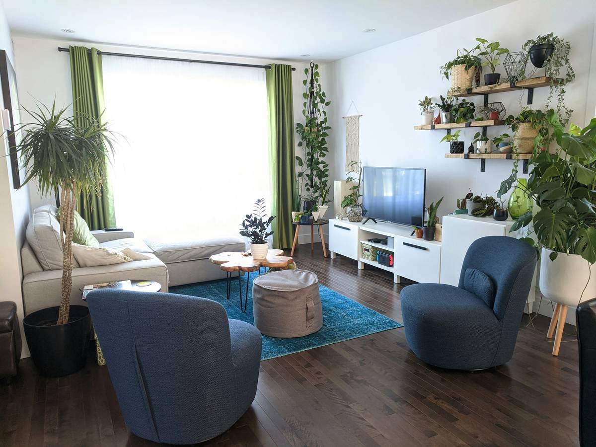 Living room with plants
